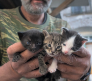 Greece-for-Easter-2016-78-scaled Greece-for-Easter-2016-78-scaled