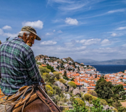 Hydra-from-the-Top-scaled Hydra-from-the-Top-scaled