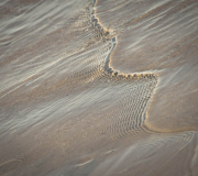 Ripple Ripple