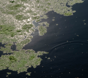 Wetland Moment Wetland Moment