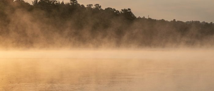 JKoskey Crossing Over MAA Summer Show 2025